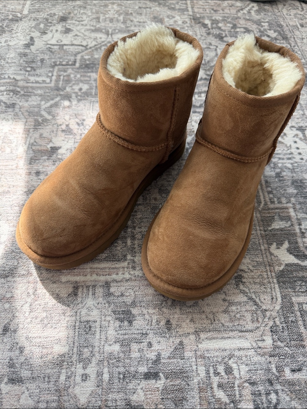 UGG Classic Mini Boot in Chestnut Brown